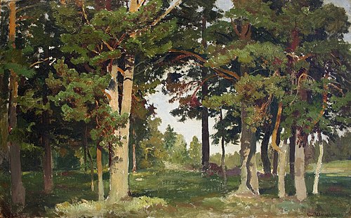 Forest. Study, 1900, Ivan Chichkine