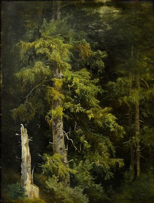 Pine forest. Study, 1877, Ivan Chichkine