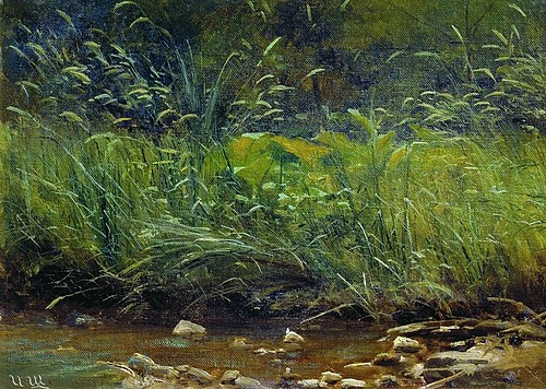 Pond shore, 1900, Ivan Chichkine