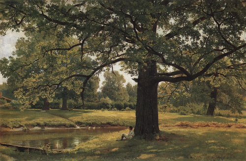 Дубы в Старом Петергофе, 1891, Ivan Chichkine