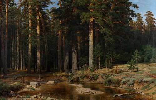 Mast-Tree grove, 1898, Ivan Chichkine