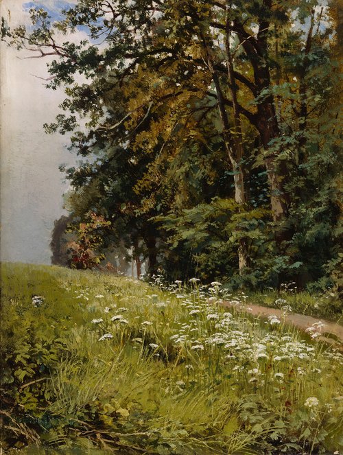 Paysage, 1900, Ivan Chichkine