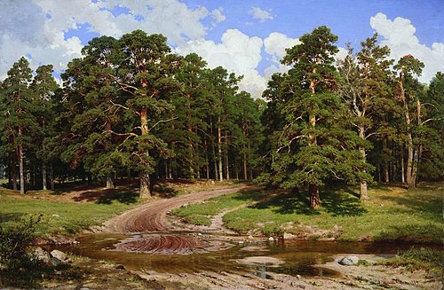 Pine Forest, 1895, Ivan Chichkine