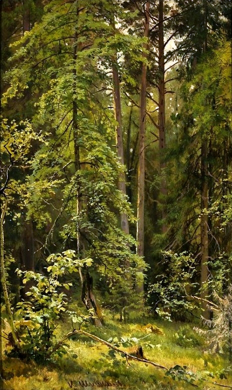 Une forêt, 1890, Ivan Chichkine