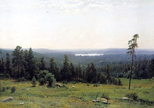 Forest distant views, 1884, Ivan Chichkine