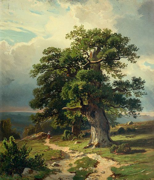 Oaks, 1865, Ivan Chichkine