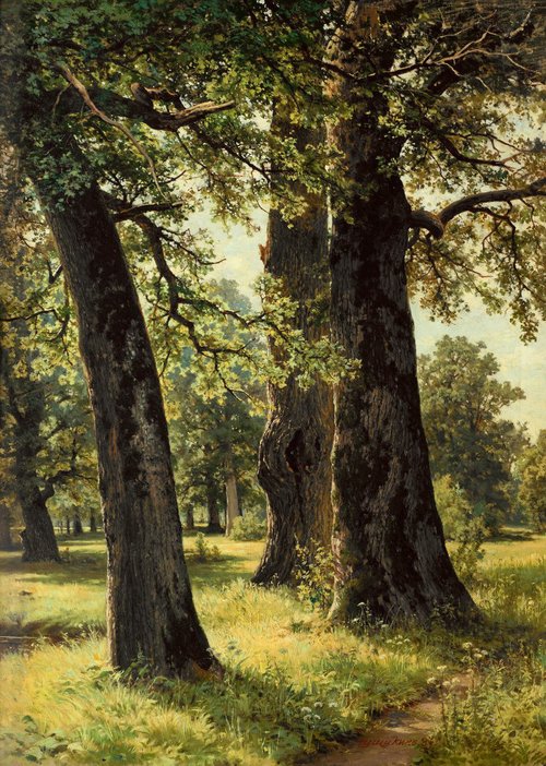 Oaks, 1887, Ivan Chichkine