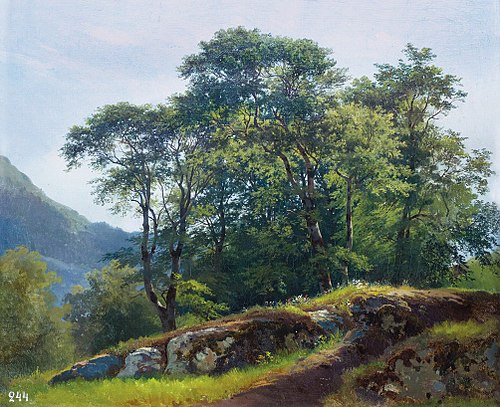 Beech Forest in Switzerland, 1863, Ivan Chichkine