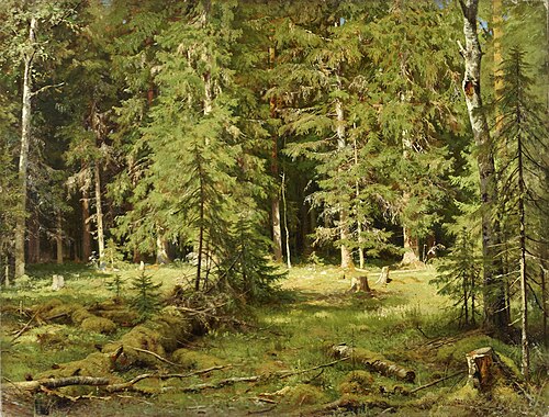 Forest, 1880, Ivan Chichkine