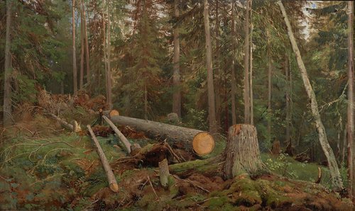 Study for the painting "Lumbering", 1867, Ivan Chichkine