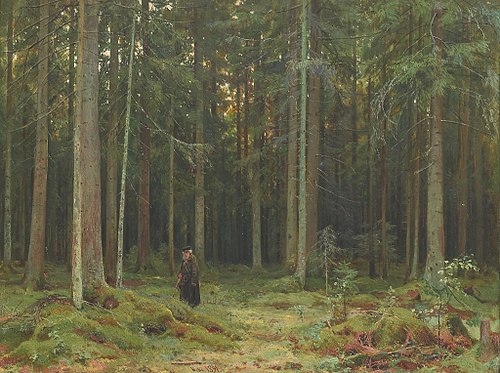 Countess Mordvinova's Wood. Peterhof, 1891, Ivan Chichkine