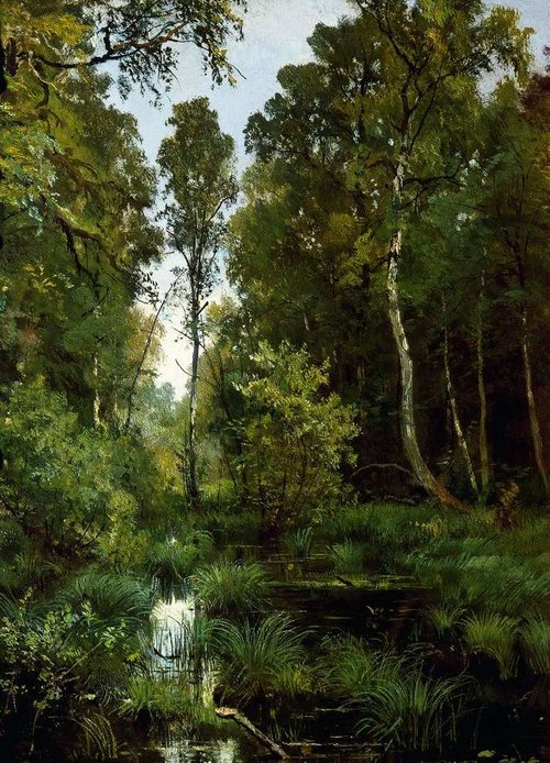 Overgrown Pond at the Edge of the Forest. Siverskaya, 1883, Ivan Chichkine