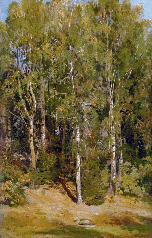 Birch Grove, 1884, Ivan Shishkin