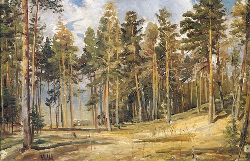 Pines. Sunny day, 1890, Ivan Chichkine