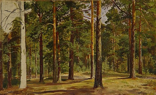 Pine Forest. Unfinished Sketch, 1894, Ivan Shishkin