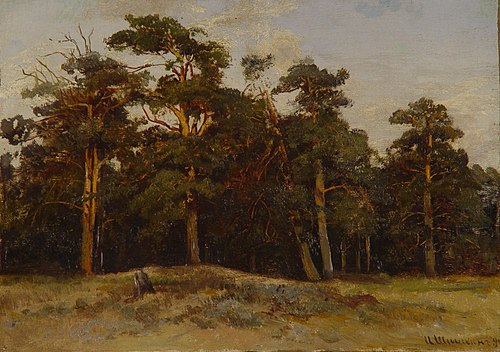 Pines, 1890, Ivan Shishkin