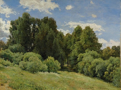 Glade (Forest Glade), 1897, Ivan Shishkin