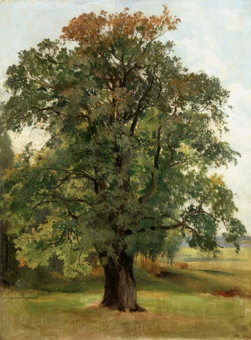 Дуб, 1900, Ivan Shishkin