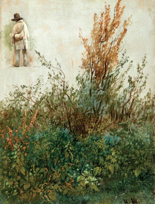 Травы, 1900, Ivan Shishkin