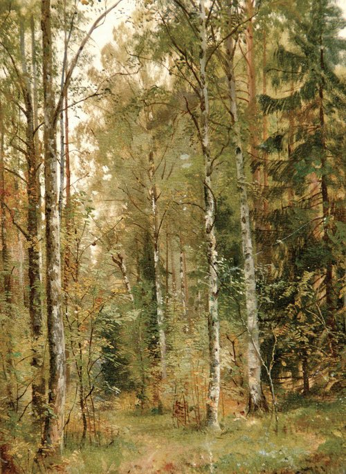 Тропинка в лесу, 1900, Ivan Shishkin