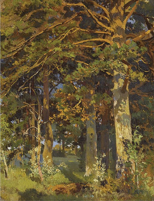 Forest clearing, 1900, Ivan Chichkine