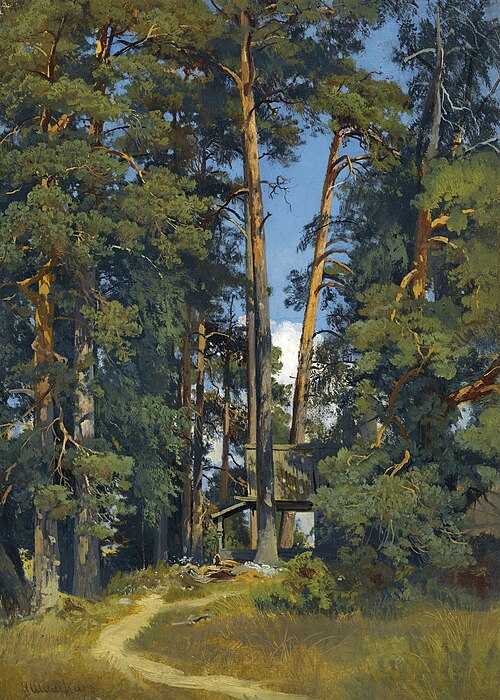 Woodland Grove, 1900, Ivan Chichkine