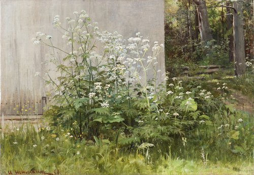 Flowers at the fence, 1880, Ivan Chichkine