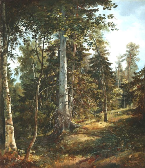Forest Thicket, 1867, Ivan Chichkine