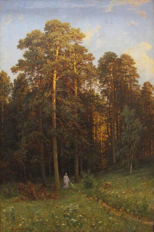 At the edge of a pine forest, 1882, Ivan Chichkine