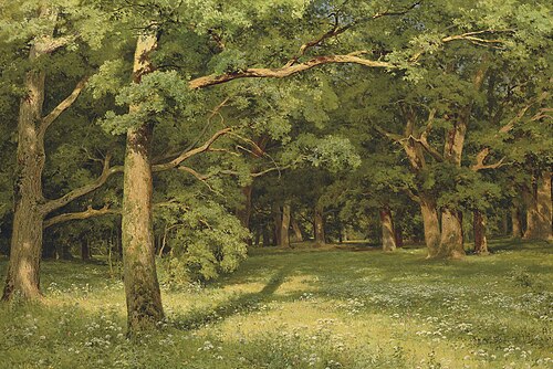 The Forest Clearing, 1896, Ivan Chichkine