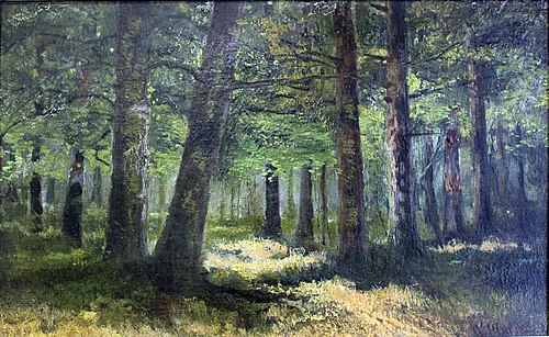 Forest, 1890, Ivan Chichkine