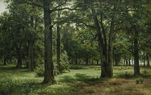 In the Protected Peter's the Great Oak Grove (In Sestroreck), 1886, Ivan Chichkine