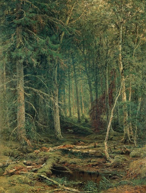 Backwoods, 1872, Ivan Chichkine