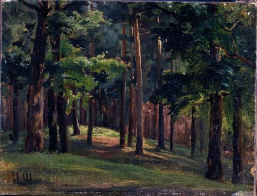 Forest, 1900, Ivan Chichkine