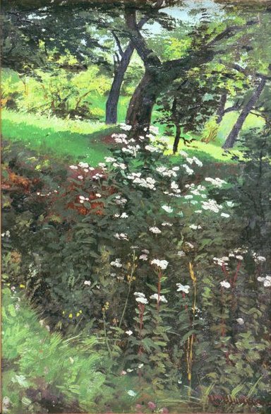 Prairie boisée, 1894, Ivan Chichkine