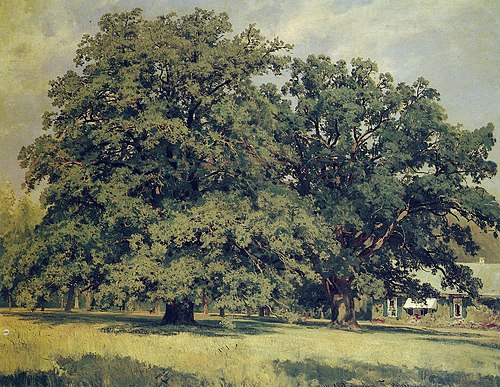 The Mordvinovo Oak, 1891, Ivan Chichkine