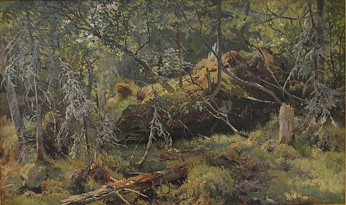 Branches. A Study, 1900, Ivan Chichkine