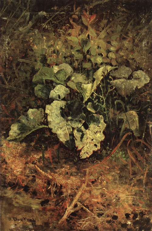 Burdock, 1880, Ivan Chichkine