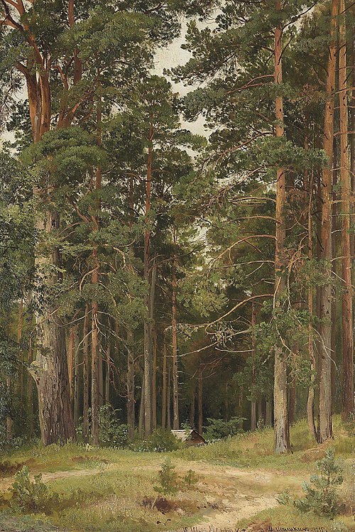 A summer day. Merikiul', 1895, Ivan Chichkine