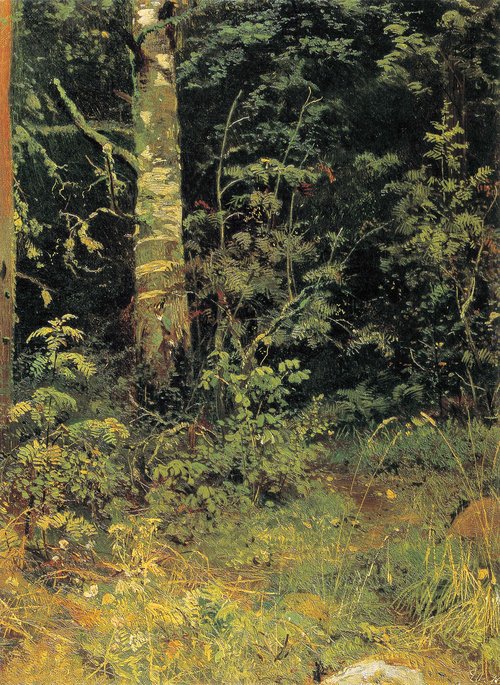 Birch and rowan, 1878, Ivan Chichkine
