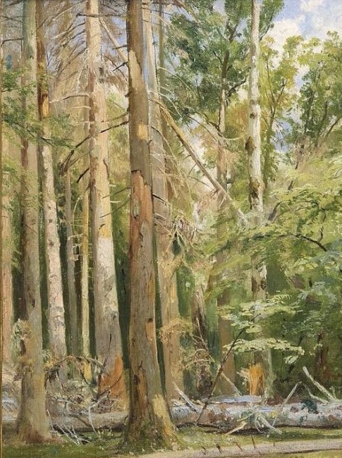 Belovezh, 1892, Ivan Chichkine