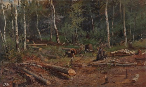 Fresh logging, 1900, Ivan Chichkine