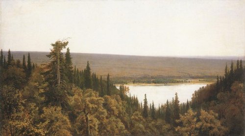 Rich log (Fir forest on Kama), 1877, Ivan Chichkine