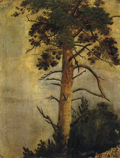A Pine on a the Rock, 1855, Ivan Chichkine