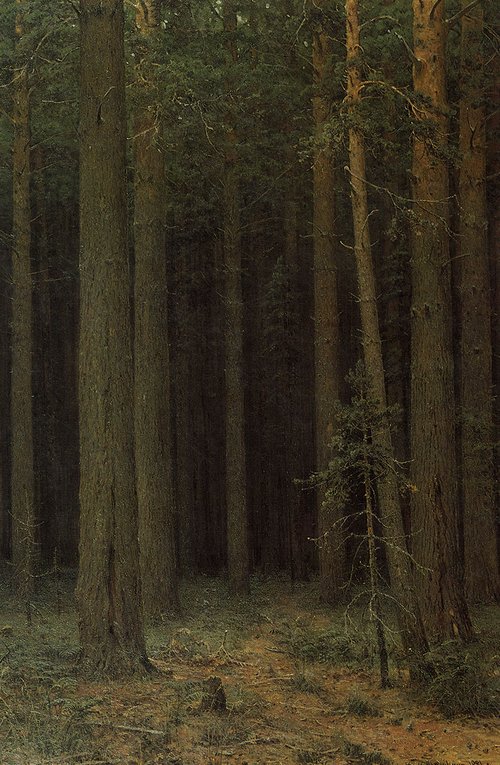 Forest Reserve. Pine Grove, 1881, Ivan Shishkin