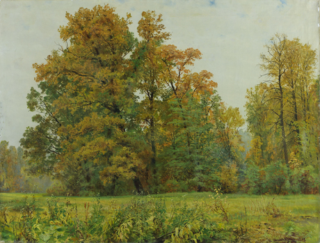 The Edge of the Forest, 1892, Ivan Chichkine