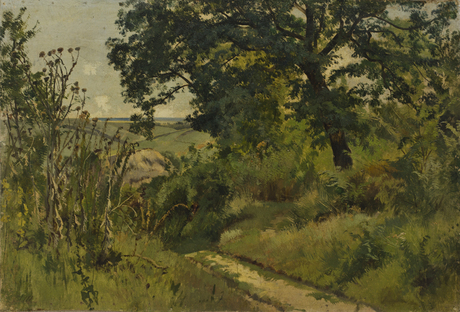 Landscape. Study, 1900, Ivan Chichkine
