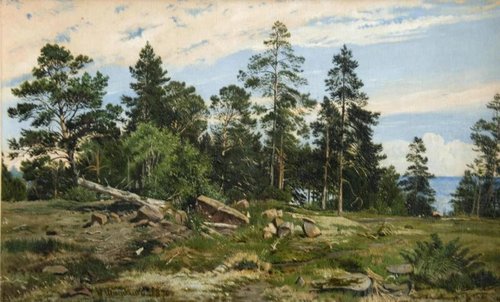 Forest by the sea, 1870, Ivan Chichkine