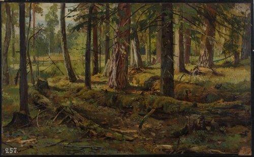 Forest study, 1900, Ivan Chichkine