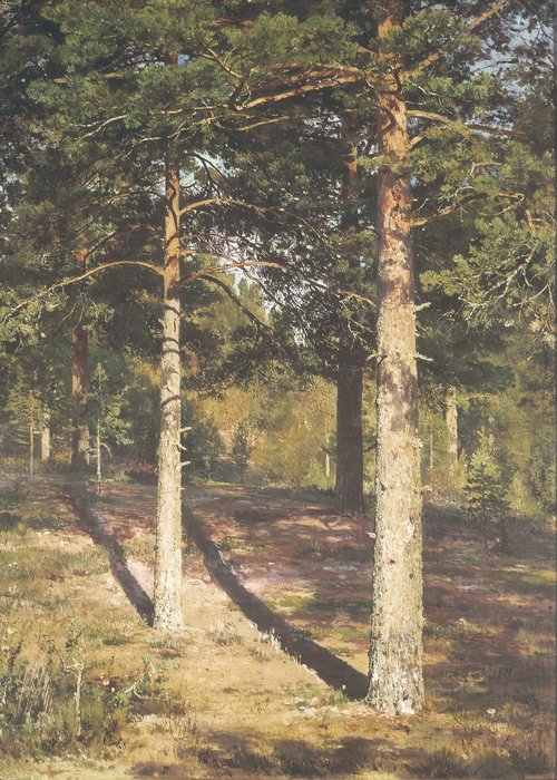 The Sun Lit Pines, 1886, Ivan Shishkin